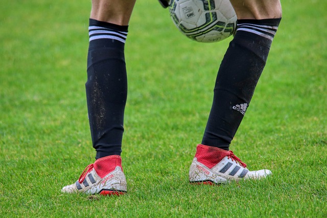 中国的冰雪 中国的冰雪