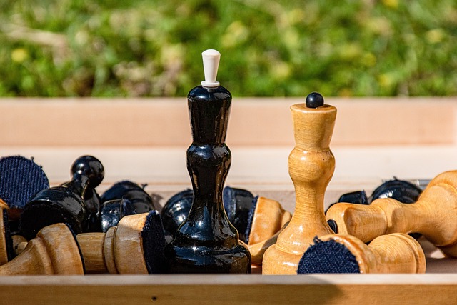 力和韧劲 力和韧劲