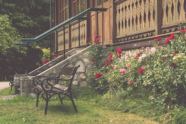 从训练内容 从训练内容