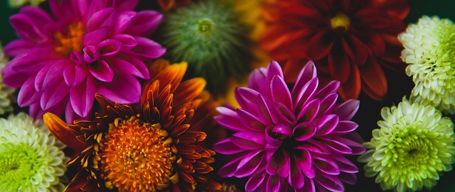 前几个赛季 前几个赛季