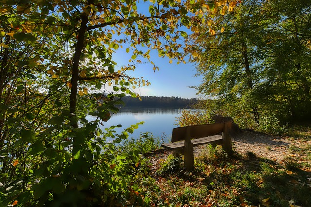 他們必須展 他們必須展