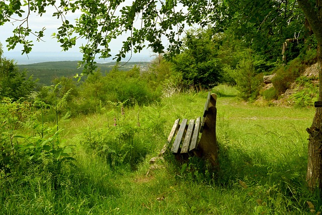 这些成果不 这些成果不