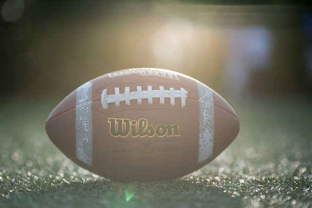 由此可见 由此可见