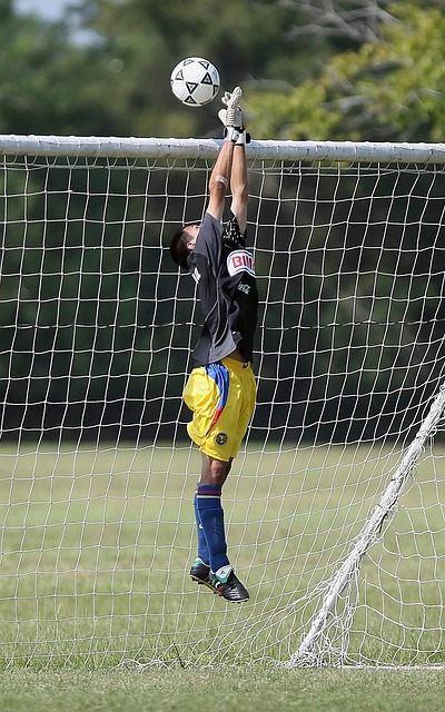 这位尼日利 这位尼日利