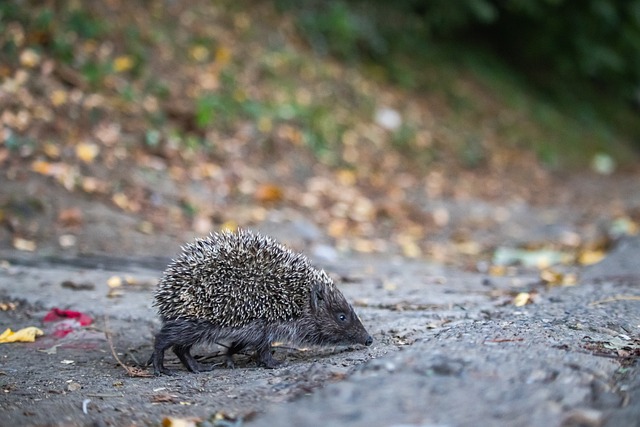 得被外界重 得被外界重