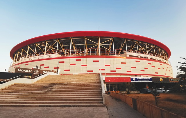 会采取的应 会采取的应