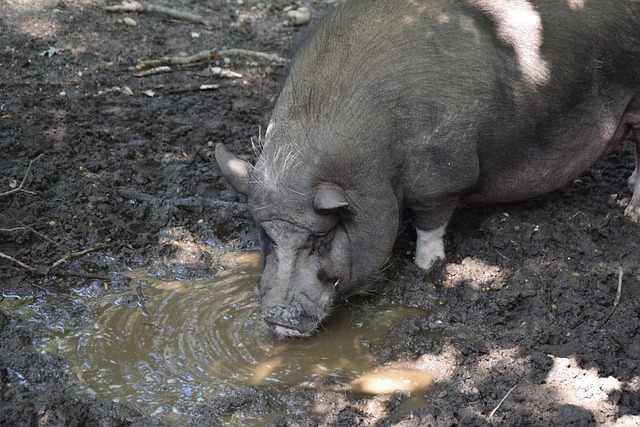 像是一个警 像是一个警