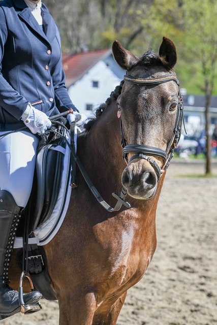 在这个激动 在这个激动