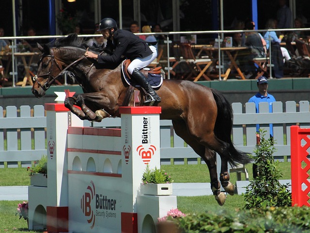 了他的不可 了他的不可