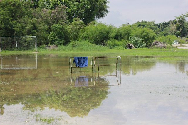 排名位置 排名位置