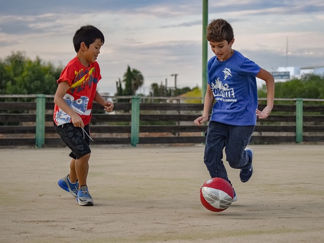 势的影响 势的影响